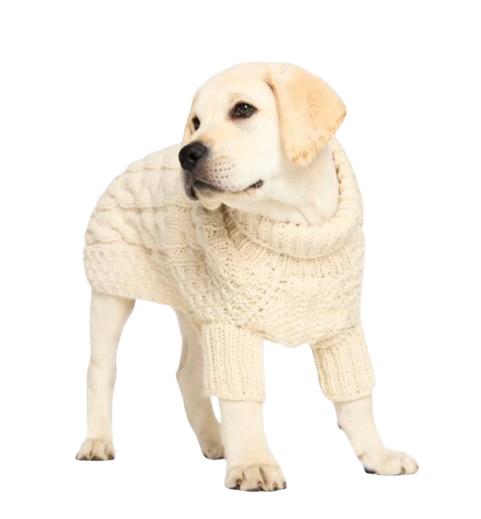 0e8eabb967c4cb83b28a782d31e7bd91-removebg-preview CozyPaws™