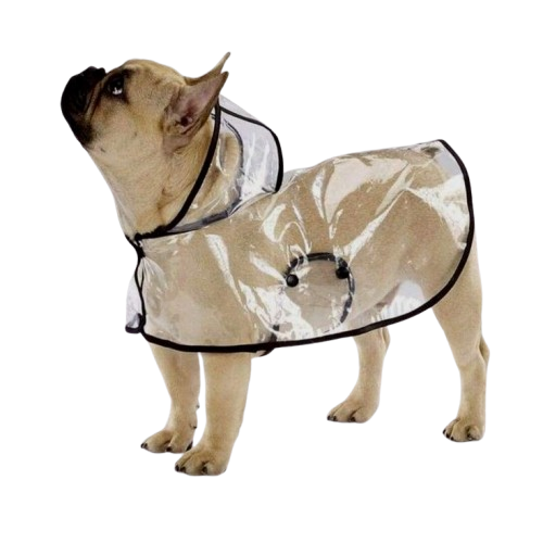 c1061a8f7a3ec12923536e5c77fb147e-removebg-preview TravelMate™