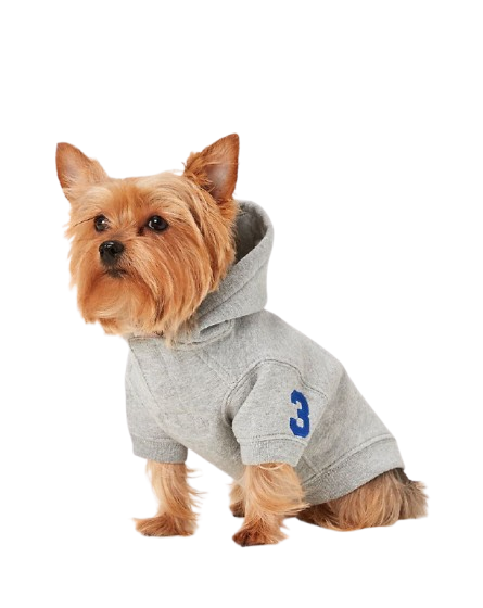 f4b38cc579528d08665ac7f1fa18164f-removebg-preview SportyTail™